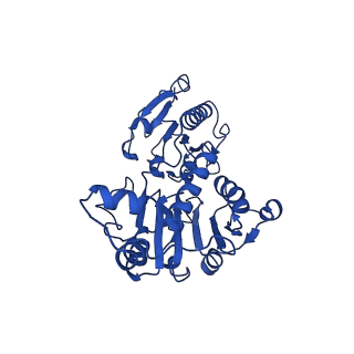 15603_8ari_E_v1-0
Cryo-EM structure of human CtBP1/RAI2(303-362) delta(331-341) filament