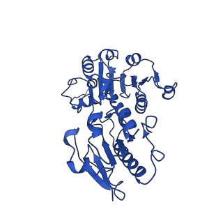 15603_8ari_F_v1-0
Cryo-EM structure of human CtBP1/RAI2(303-362) delta(331-341) filament