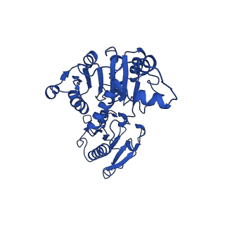 15603_8ari_G_v1-0
Cryo-EM structure of human CtBP1/RAI2(303-362) delta(331-341) filament
