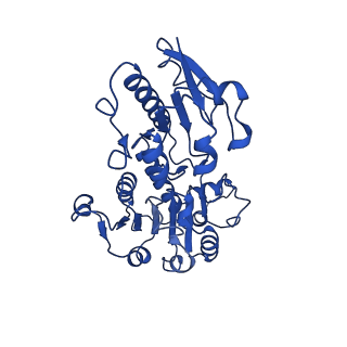15603_8ari_H_v1-0
Cryo-EM structure of human CtBP1/RAI2(303-362) delta(331-341) filament