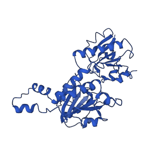 15603_8ari_I_v1-0
Cryo-EM structure of human CtBP1/RAI2(303-362) delta(331-341) filament