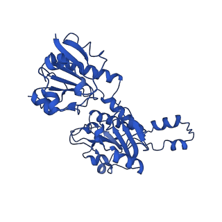 15603_8ari_L_v1-0
Cryo-EM structure of human CtBP1/RAI2(303-362) delta(331-341) filament