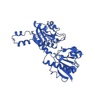 15603_8ari_M_v1-0
Cryo-EM structure of human CtBP1/RAI2(303-362) delta(331-341) filament