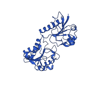 15603_8ari_O_v1-0
Cryo-EM structure of human CtBP1/RAI2(303-362) delta(331-341) filament