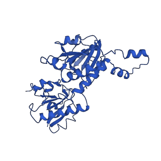 15603_8ari_P_v1-0
Cryo-EM structure of human CtBP1/RAI2(303-362) delta(331-341) filament
