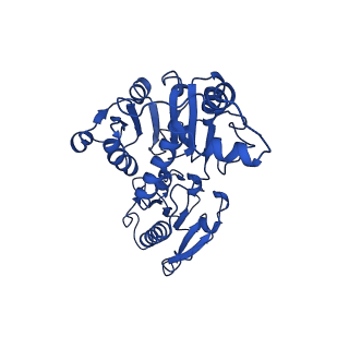 15603_8ari_Q_v1-0
Cryo-EM structure of human CtBP1/RAI2(303-362) delta(331-341) filament