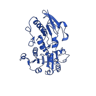 15603_8ari_R_v1-0
Cryo-EM structure of human CtBP1/RAI2(303-362) delta(331-341) filament