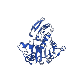15603_8ari_S_v1-0
Cryo-EM structure of human CtBP1/RAI2(303-362) delta(331-341) filament