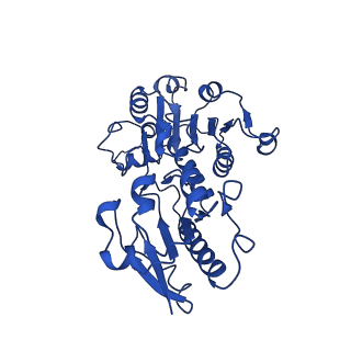 15603_8ari_T_v1-0
Cryo-EM structure of human CtBP1/RAI2(303-362) delta(331-341) filament