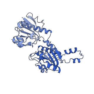 15603_8ari_V_v1-0
Cryo-EM structure of human CtBP1/RAI2(303-362) delta(331-341) filament