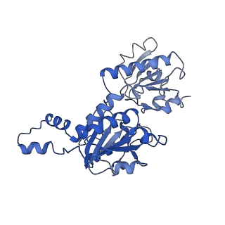 15603_8ari_W_v1-0
Cryo-EM structure of human CtBP1/RAI2(303-362) delta(331-341) filament