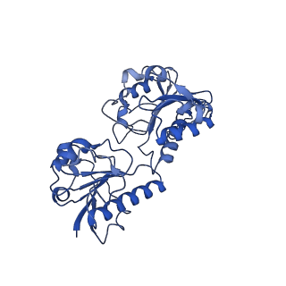 15603_8ari_X_v1-0
Cryo-EM structure of human CtBP1/RAI2(303-362) delta(331-341) filament