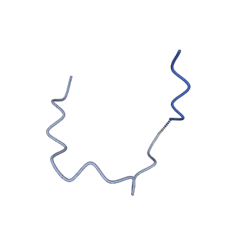 15603_8ari_f_v1-0
Cryo-EM structure of human CtBP1/RAI2(303-362) delta(331-341) filament