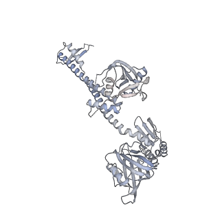 11889_7as8_0_v1-1
Bacillus subtilis ribosome quality control complex state B. Ribosomal 50S subunit with P-tRNA, RqcH, and RqcP/YabO
