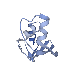 11889_7as8_1_v1-1
Bacillus subtilis ribosome quality control complex state B. Ribosomal 50S subunit with P-tRNA, RqcH, and RqcP/YabO