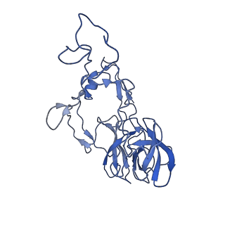 11889_7as8_E_v1-1
Bacillus subtilis ribosome quality control complex state B. Ribosomal 50S subunit with P-tRNA, RqcH, and RqcP/YabO