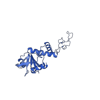 11889_7as8_G_v1-1
Bacillus subtilis ribosome quality control complex state B. Ribosomal 50S subunit with P-tRNA, RqcH, and RqcP/YabO