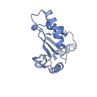 11889_7as8_H_v1-1
Bacillus subtilis ribosome quality control complex state B. Ribosomal 50S subunit with P-tRNA, RqcH, and RqcP/YabO