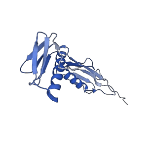 11889_7as8_I_v1-1
Bacillus subtilis ribosome quality control complex state B. Ribosomal 50S subunit with P-tRNA, RqcH, and RqcP/YabO