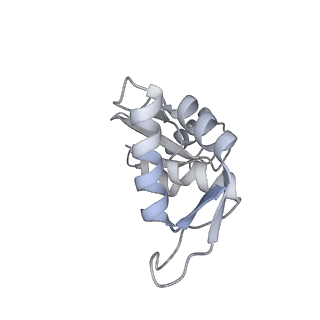 11889_7as8_K_v1-1
Bacillus subtilis ribosome quality control complex state B. Ribosomal 50S subunit with P-tRNA, RqcH, and RqcP/YabO