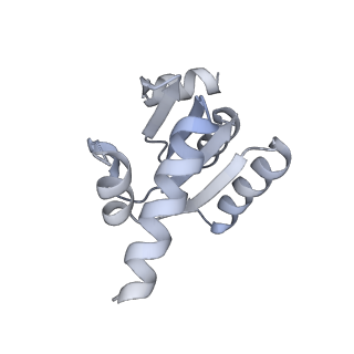 11889_7as8_L_v1-1
Bacillus subtilis ribosome quality control complex state B. Ribosomal 50S subunit with P-tRNA, RqcH, and RqcP/YabO