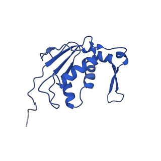 11889_7as8_N_v1-1
Bacillus subtilis ribosome quality control complex state B. Ribosomal 50S subunit with P-tRNA, RqcH, and RqcP/YabO
