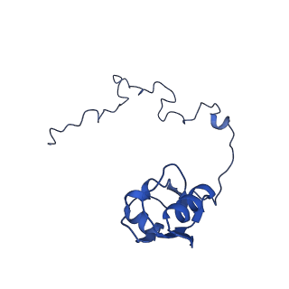 11889_7as8_P_v1-1
Bacillus subtilis ribosome quality control complex state B. Ribosomal 50S subunit with P-tRNA, RqcH, and RqcP/YabO