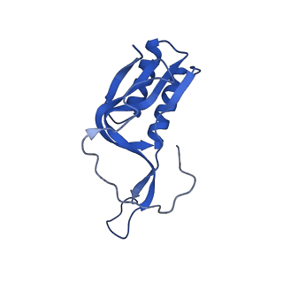 11889_7as8_Q_v1-1
Bacillus subtilis ribosome quality control complex state B. Ribosomal 50S subunit with P-tRNA, RqcH, and RqcP/YabO