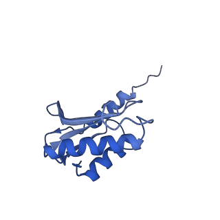 11889_7as8_S_v1-1
Bacillus subtilis ribosome quality control complex state B. Ribosomal 50S subunit with P-tRNA, RqcH, and RqcP/YabO