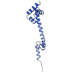 11889_7as8_U_v1-1
Bacillus subtilis ribosome quality control complex state B. Ribosomal 50S subunit with P-tRNA, RqcH, and RqcP/YabO