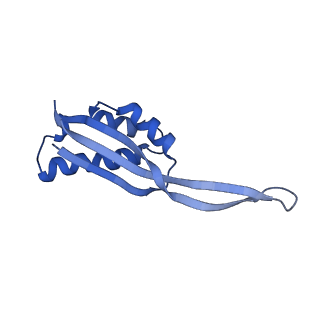 11889_7as8_W_v1-1
Bacillus subtilis ribosome quality control complex state B. Ribosomal 50S subunit with P-tRNA, RqcH, and RqcP/YabO