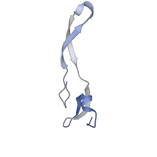 11889_7as8_b_v1-1
Bacillus subtilis ribosome quality control complex state B. Ribosomal 50S subunit with P-tRNA, RqcH, and RqcP/YabO