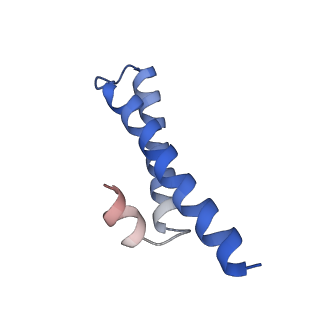 11889_7as8_c_v1-1
Bacillus subtilis ribosome quality control complex state B. Ribosomal 50S subunit with P-tRNA, RqcH, and RqcP/YabO