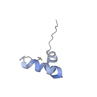 11889_7as8_h_v1-1
Bacillus subtilis ribosome quality control complex state B. Ribosomal 50S subunit with P-tRNA, RqcH, and RqcP/YabO