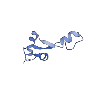 11889_7as8_i_v1-1
Bacillus subtilis ribosome quality control complex state B. Ribosomal 50S subunit with P-tRNA, RqcH, and RqcP/YabO