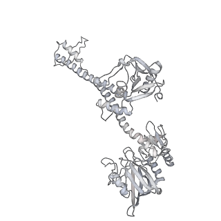 11890_7as9_0_v1-2
Bacillus subtilis ribosome-associated quality control complex state A. Ribosomal 50S subunit with peptidyl tRNA in the A/P position and RqcH.