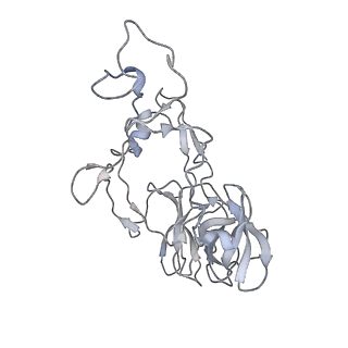 11890_7as9_E_v1-2
Bacillus subtilis ribosome-associated quality control complex state A. Ribosomal 50S subunit with peptidyl tRNA in the A/P position and RqcH.