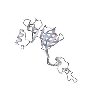 11890_7as9_F_v1-2
Bacillus subtilis ribosome-associated quality control complex state A. Ribosomal 50S subunit with peptidyl tRNA in the A/P position and RqcH.
