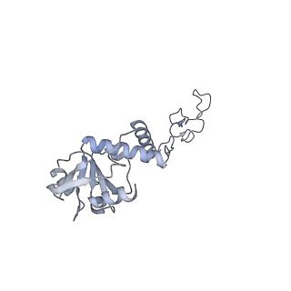 11890_7as9_G_v1-2
Bacillus subtilis ribosome-associated quality control complex state A. Ribosomal 50S subunit with peptidyl tRNA in the A/P position and RqcH.