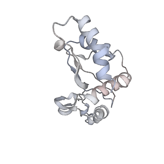 11890_7as9_H_v1-2
Bacillus subtilis ribosome-associated quality control complex state A. Ribosomal 50S subunit with peptidyl tRNA in the A/P position and RqcH.