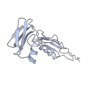 11890_7as9_I_v1-2
Bacillus subtilis ribosome-associated quality control complex state A. Ribosomal 50S subunit with peptidyl tRNA in the A/P position and RqcH.