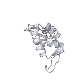 11890_7as9_K_v1-2
Bacillus subtilis ribosome-associated quality control complex state A. Ribosomal 50S subunit with peptidyl tRNA in the A/P position and RqcH.