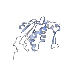 11890_7as9_N_v1-2
Bacillus subtilis ribosome-associated quality control complex state A. Ribosomal 50S subunit with peptidyl tRNA in the A/P position and RqcH.
