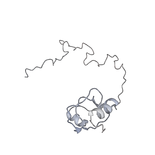 11890_7as9_P_v1-2
Bacillus subtilis ribosome-associated quality control complex state A. Ribosomal 50S subunit with peptidyl tRNA in the A/P position and RqcH.