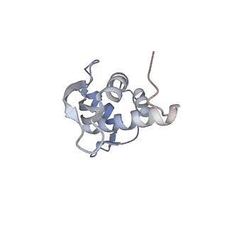 11890_7as9_R_v1-2
Bacillus subtilis ribosome-associated quality control complex state A. Ribosomal 50S subunit with peptidyl tRNA in the A/P position and RqcH.