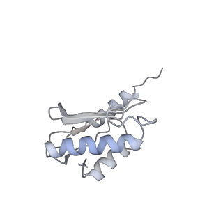 11890_7as9_S_v1-2
Bacillus subtilis ribosome-associated quality control complex state A. Ribosomal 50S subunit with peptidyl tRNA in the A/P position and RqcH.