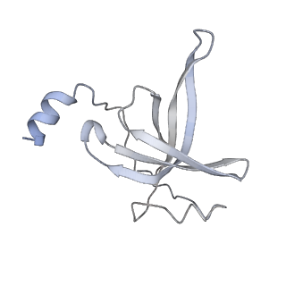 11890_7as9_T_v1-2
Bacillus subtilis ribosome-associated quality control complex state A. Ribosomal 50S subunit with peptidyl tRNA in the A/P position and RqcH.