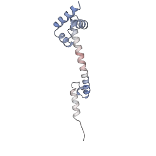 11890_7as9_U_v1-2
Bacillus subtilis ribosome-associated quality control complex state A. Ribosomal 50S subunit with peptidyl tRNA in the A/P position and RqcH.