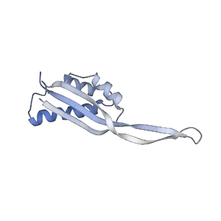 11890_7as9_W_v1-2
Bacillus subtilis ribosome-associated quality control complex state A. Ribosomal 50S subunit with peptidyl tRNA in the A/P position and RqcH.