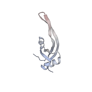 11890_7as9_X_v1-2
Bacillus subtilis ribosome-associated quality control complex state A. Ribosomal 50S subunit with peptidyl tRNA in the A/P position and RqcH.